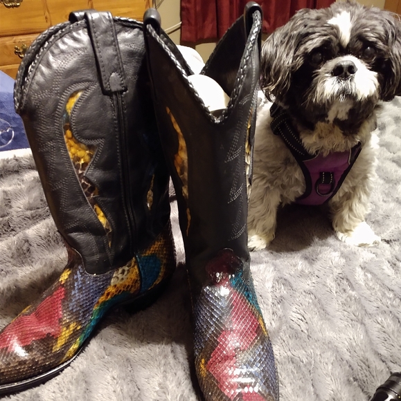 Like New Python Boots - Picture 3 of 8